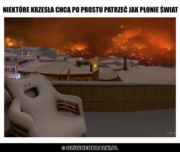 I mają z tego radochę