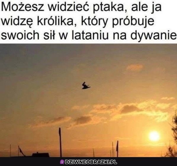 Każdy widzi co chce