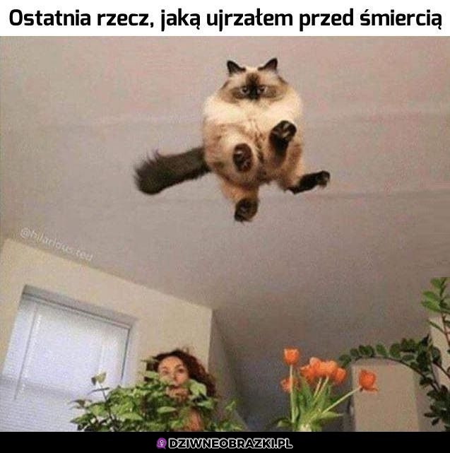 Ostatnia rzecz Ostatnia rzecz