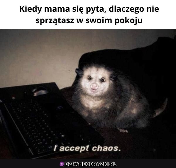 Dokładnie