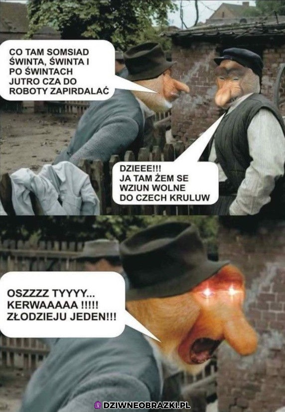 Oszty złodzieju