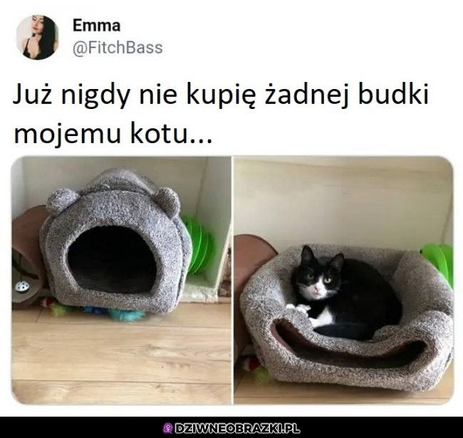 Przecież używa