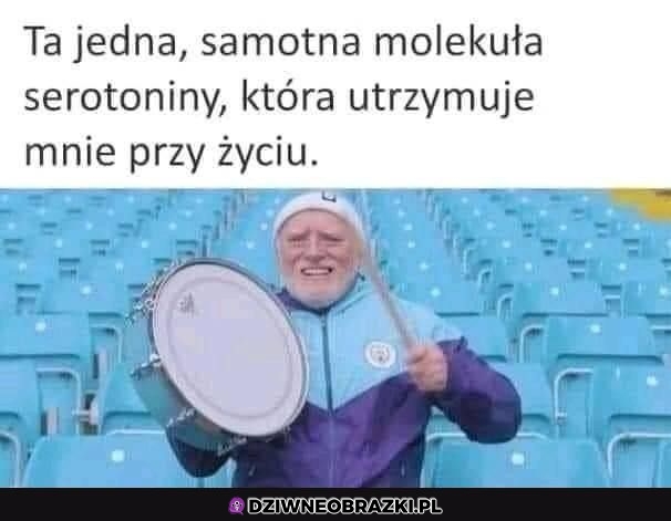 Robi co może