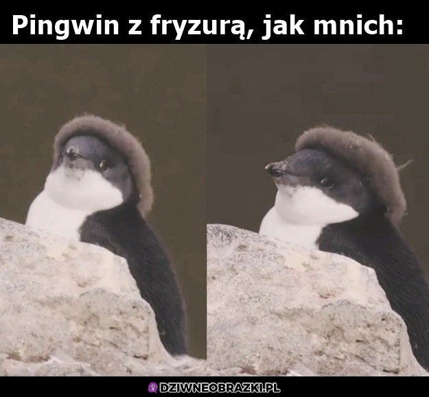Mningwin