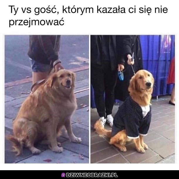 Tak to wygląda