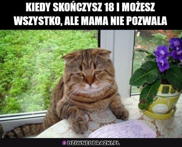 Ten moment