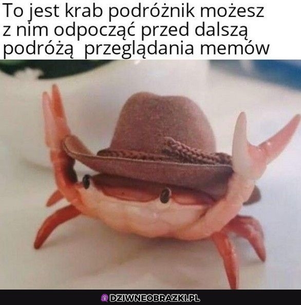 Napotkałeś podróżnika