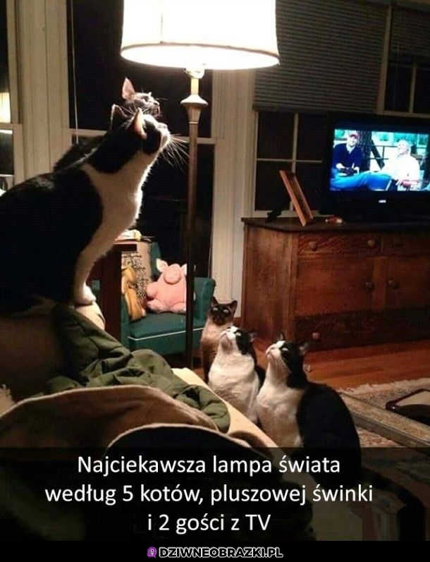 Wciągająca lampa