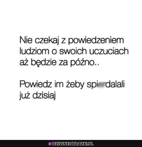 No dalej, powiedz to