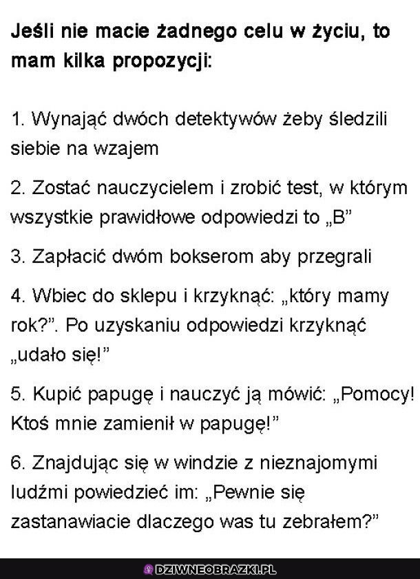 Kilka propozycji