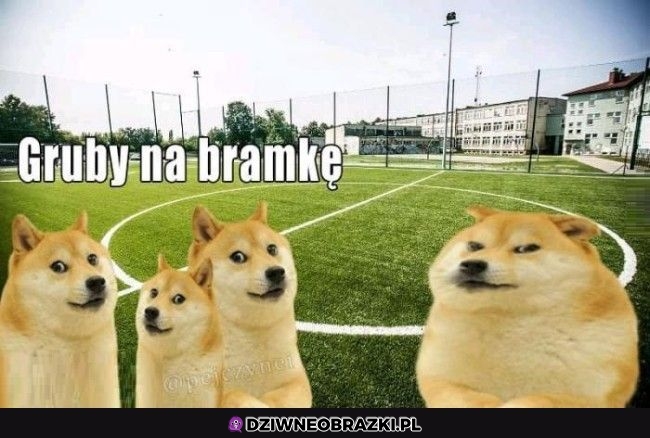 Zawsze
