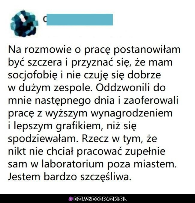 Szczerość zdecydowanie popłaciła