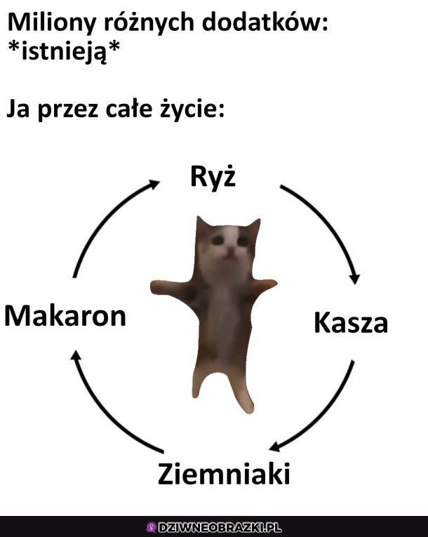 Magiczny krąg