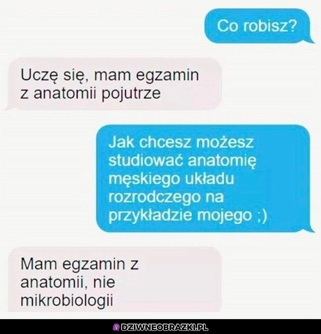 Może mała powtórka z anatomii?