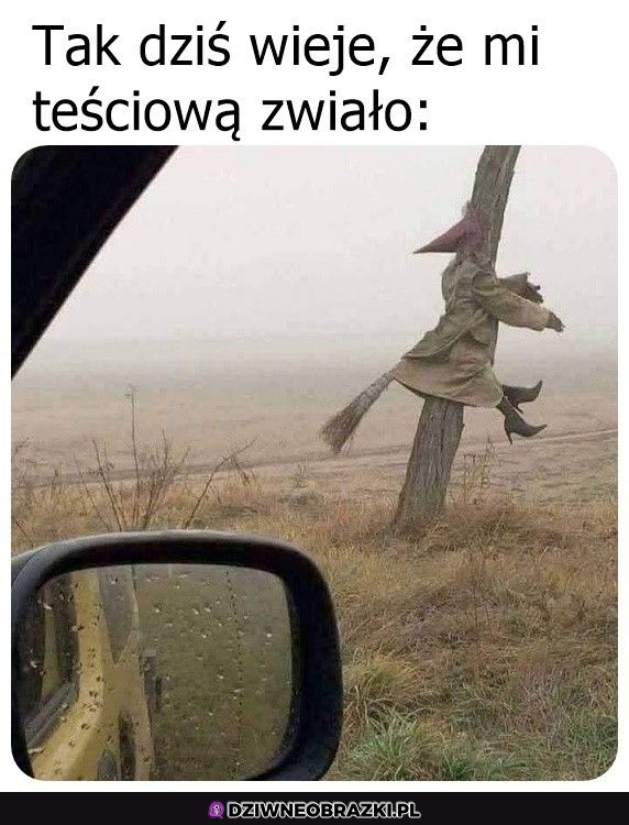 Teściowa odleciała