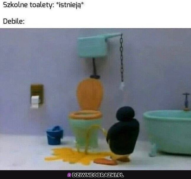 Szkolne kible