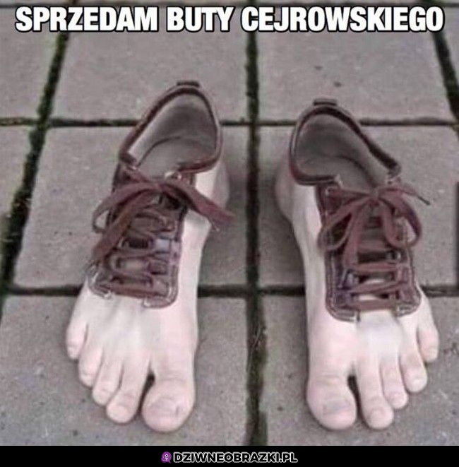 Buty Cejrowskiego
