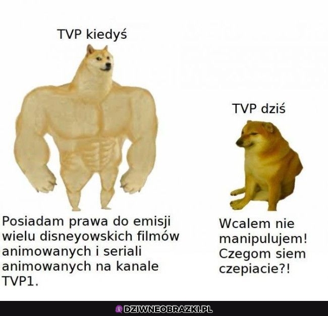 TVP