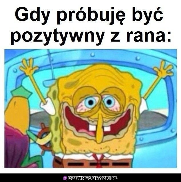 Pozytywnie rano
