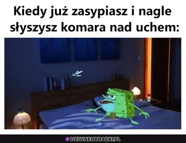 Ten moment