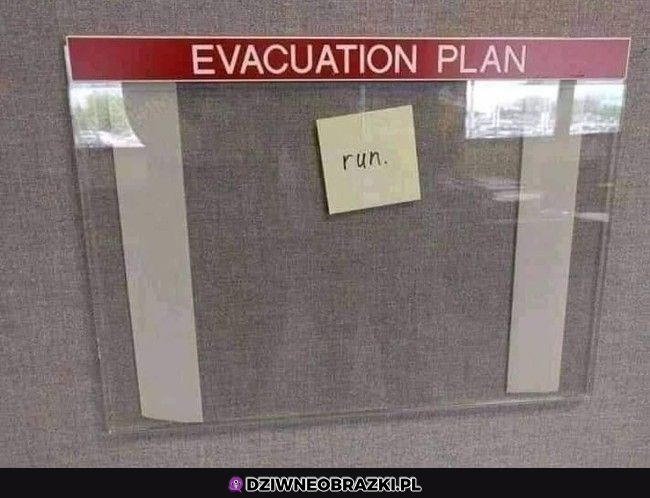 Najlepszy plan