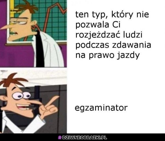 Egzaminator