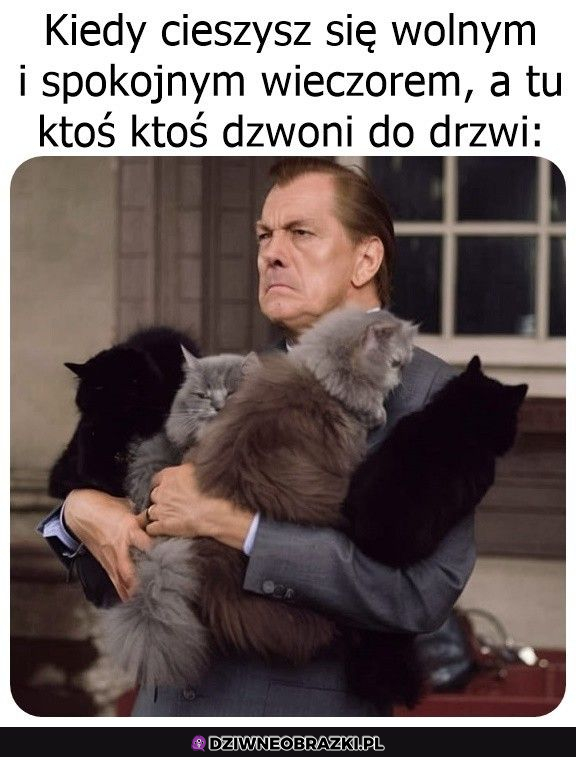 Cóż to za czort