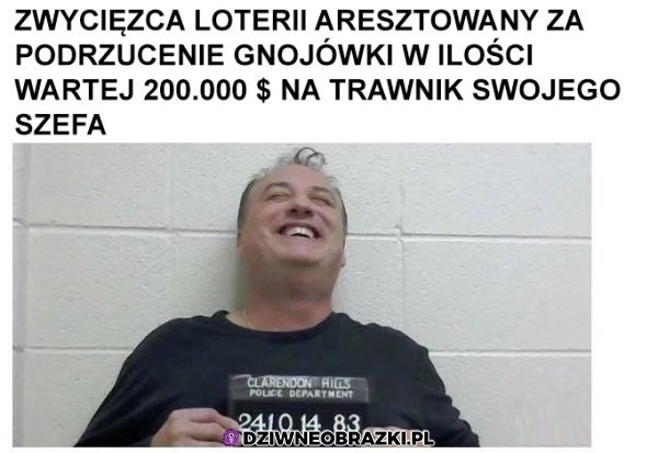 Tak trzeba żyć