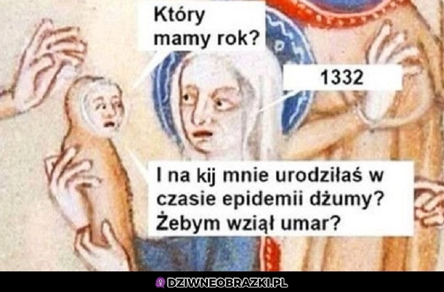 Czy ty kobieto oszalałaś?