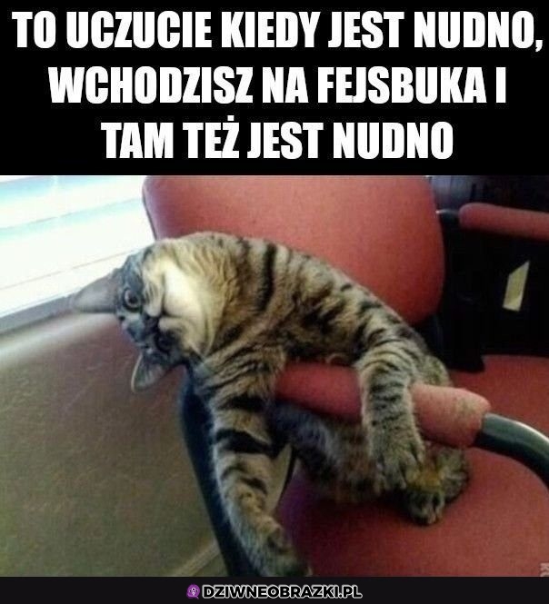 Wszędzie ta nuda
