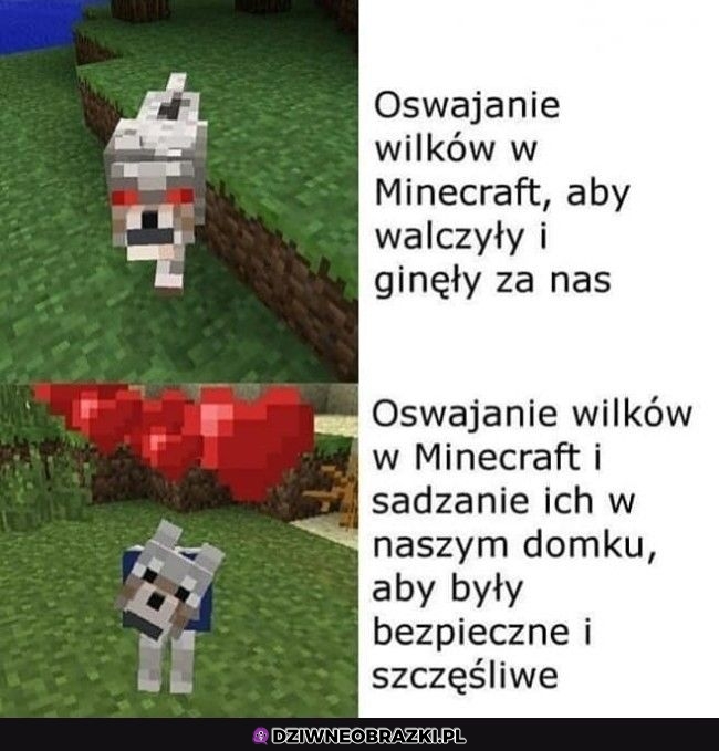 Wiadomo co lepsze