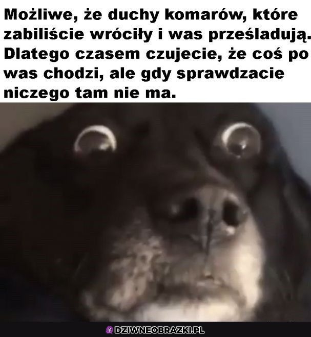 A co jeśli?