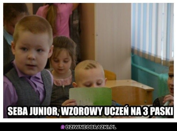 Wzorowy uczeń