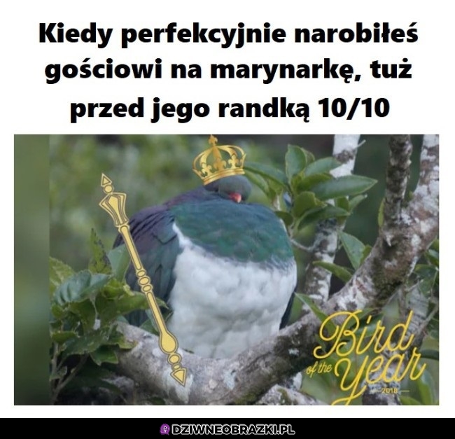 Gołomp miesiaca