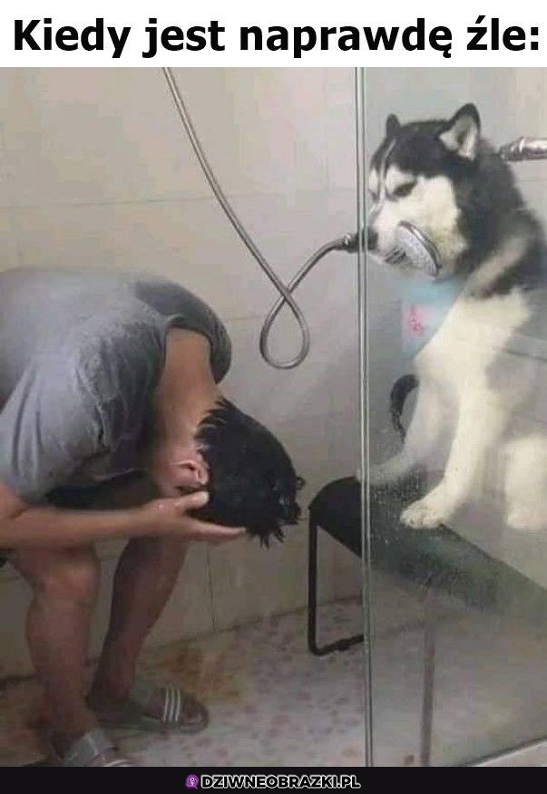 Prawdziwa załamka Prawdziwa załamka