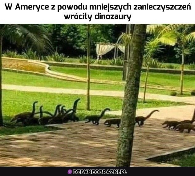 Wielkie powroty