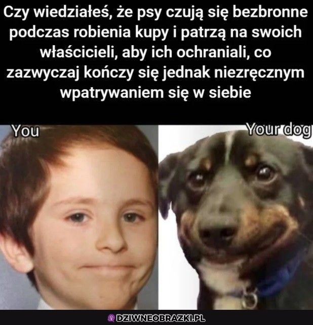 A to dlatego