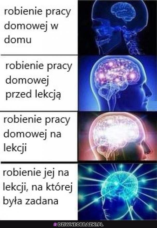 Robienie pracy domowej