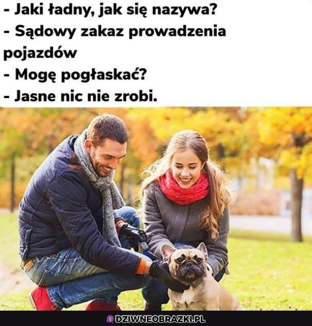 Jak on się nazywa?