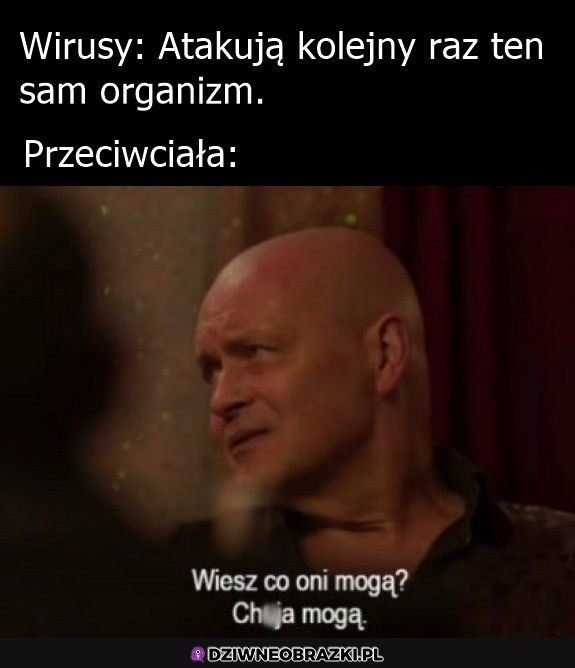 Potężne przeciwciała 