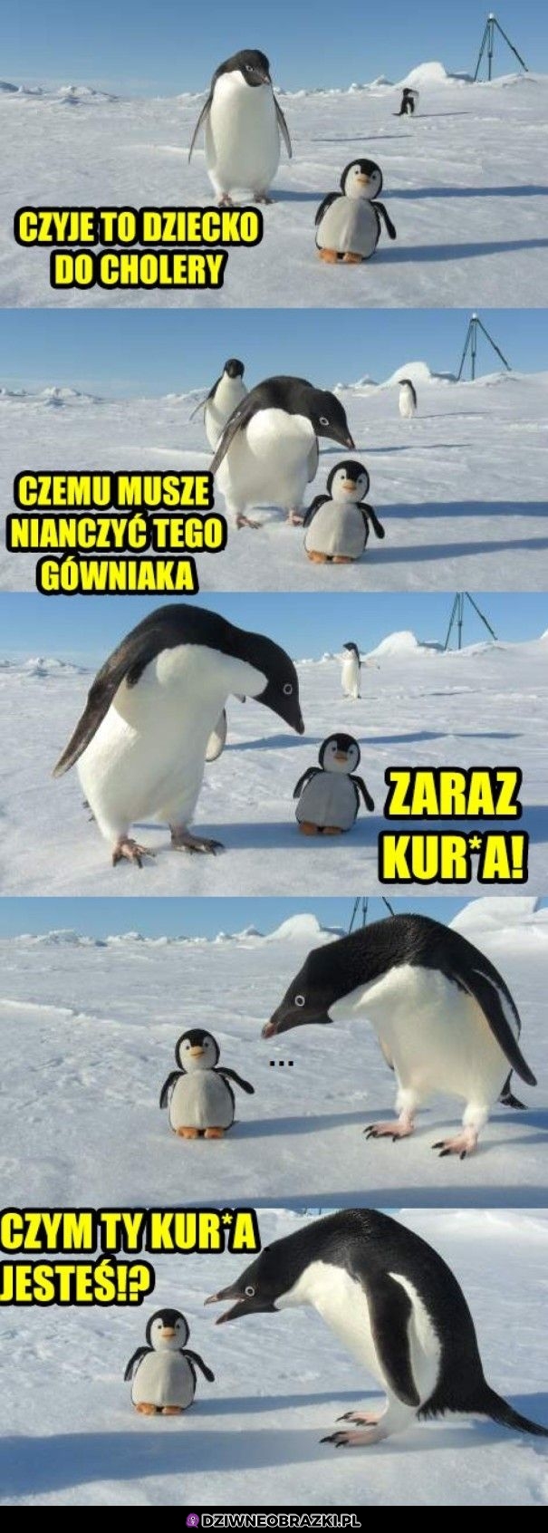 Czyj to dzieciak?