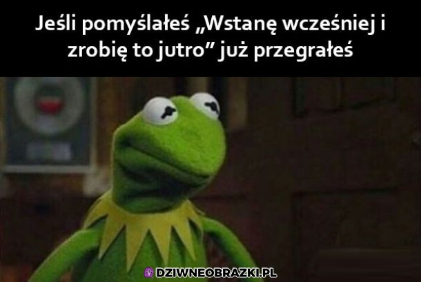 Zawsze