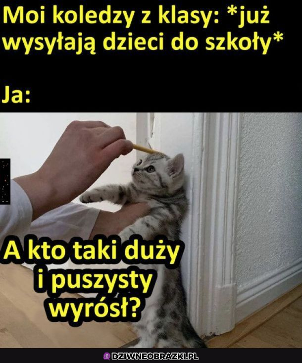 To już ten wiek