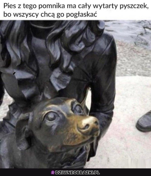Głaskałbym