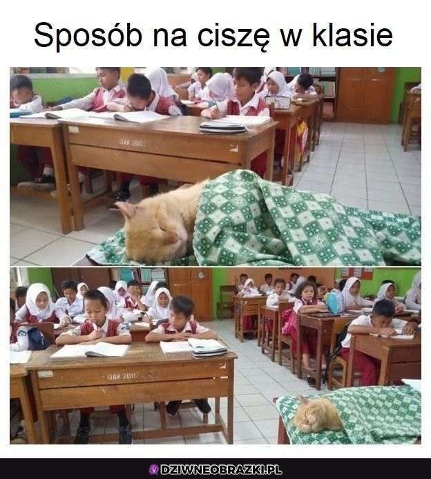 O proszę