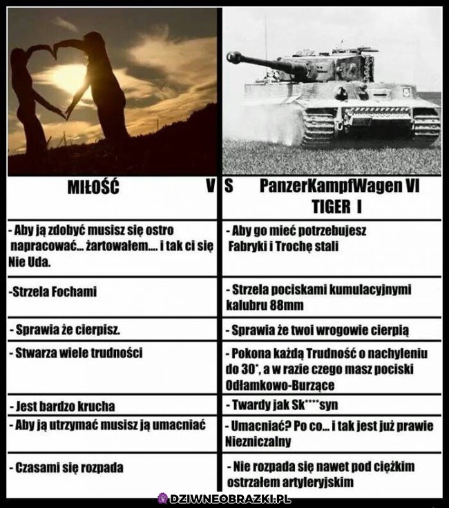 Miłość vs Tiger