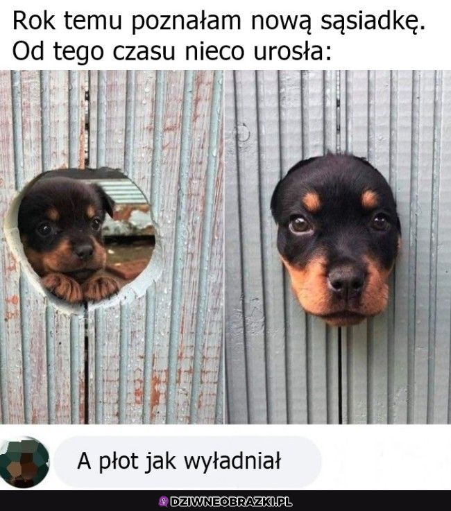 wszystko się zmieniło :D