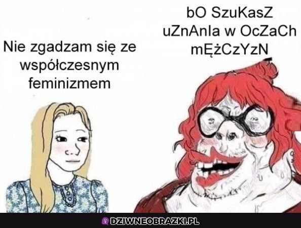Współczesny "feminizm"