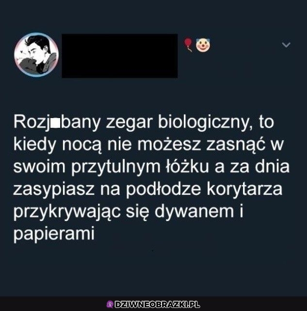 Dokładnie tak