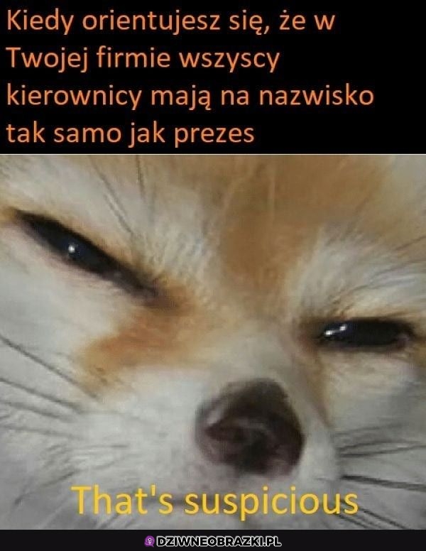 Ten moment